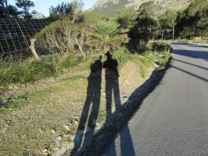 IMG_0134 (Medium)